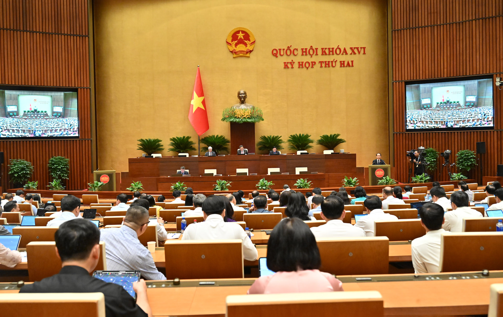 Đề xuất cấm cá nhân tham gia đấu giá quyền sử dụng đất nếu trúng đấu giá nhưng bỏ cọc